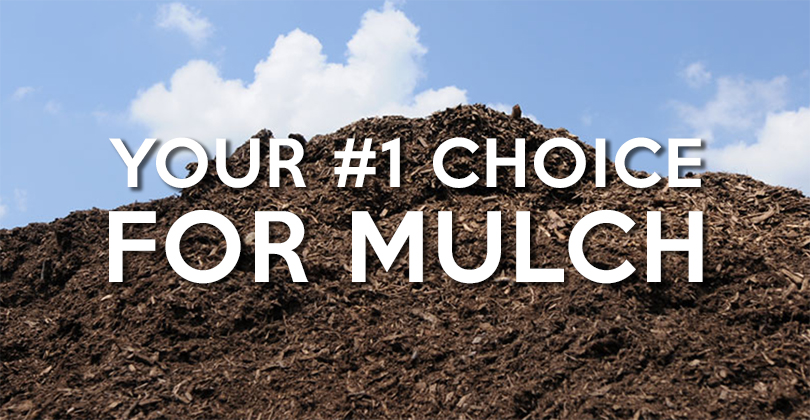 Bulk Mulch Delivery Near Me 